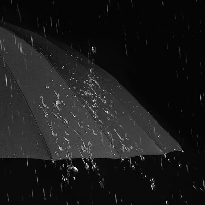 Storm Umbrella